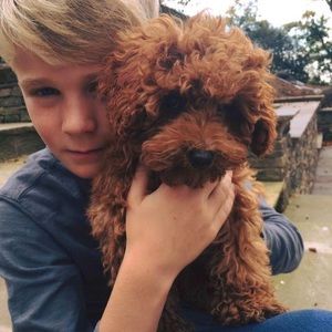 Meet your Posher, Ruby